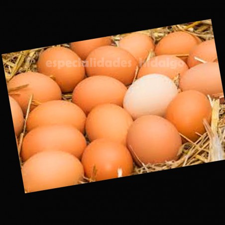 HUEVOS GALLINA XL
