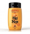 SALSA  BIG  MAX  290ml